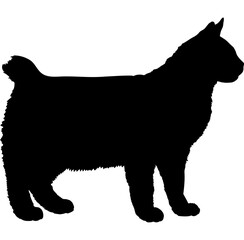  Pixiebob cat silhouette cat breeds vector 