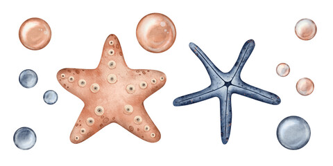 Starfish in coral orange and blue color with bubbles on isolated background. Underwater Animal. Hand drawn watercolor illustration sea star for nursery, wall sticker, baby shower, book
