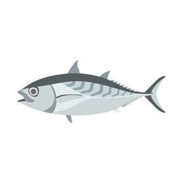 ヒラソウダガツオ。フラットなベクターイラスト。
Frigate tuna (Alagaduwa) . Flat designed vector illustration.