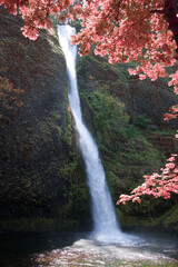waterfall in autumn