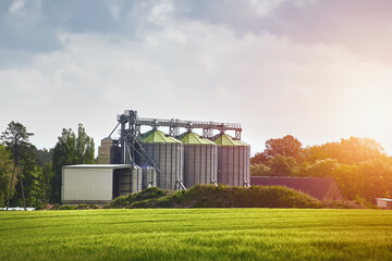 Steel grain silos stand next to a field. Agro silo granary elevator with seeds. Agro-processing manufacturing plant for processing drying cleaning and storage of agricultural products - obrazy, fototapety, plakaty