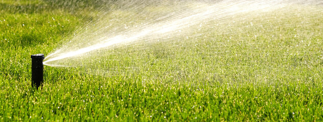 Automatic garden irrigation system watering lawn with adjustable head. Automatic equipment for...