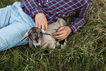 a happy man of Caucasian appearance, a farmer holds and hugs his favorite  baby goat. a small goat. The concept of a summer countryside. Close to outdoor recreation.