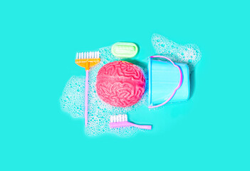 Toy Essential Household Cleaning Tools and Human Brain Model