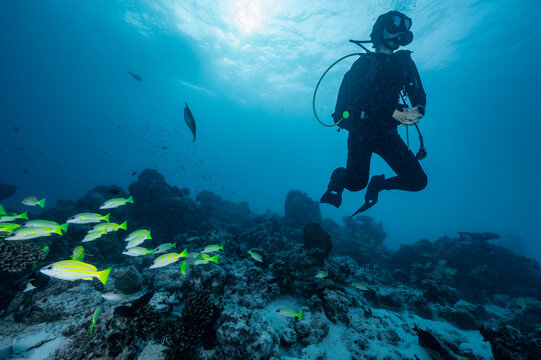 diver exploring the tropical waters around the Maldives