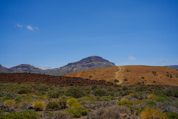 Fototapeta na wymiar Beautiful rocky desert landscape on Teide park on Tenerife island on the sunny day.