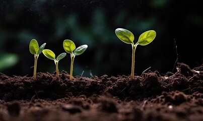 Witnessing the growth of plant seedlings is truly amazing Creating using generative AI tools