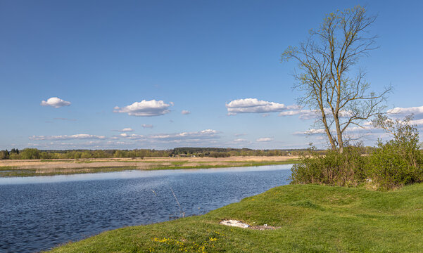 The bank of the Bug river in early spring, around the village of Czarnów, Mazovia, Central Poland