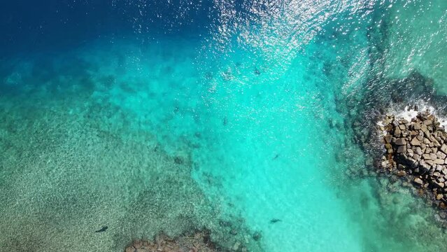 Aerial view of turquoise water surface with blurry sharks swimming at Fuvahmulah island, a famous dive site for tiger sharks in South Maldives. 4K footage drone video