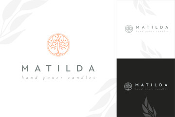 Olive tree logo. Extra virgin olive oil label icon. Tree of life symbol. Organic branch brand identity. Plant leaf sign. Vector illustration.