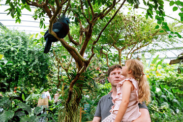 Father with small daughter, cute preschool girl watching birds. Happy family, man and little child in birds observatory, looking on western crowned pigeon bird. Family weekend activity