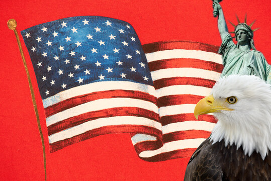   Bald Eagle and statue of liberty on United States flag in red t-shirt background.