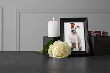 Frame with picture of dog, collar, burning candle and rose on black table, space for text. Pet...