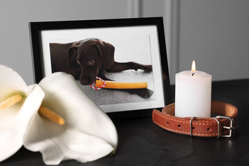 Frame with picture of dog, collar, burning candles and calla flowers on black table, closeup. Pet...