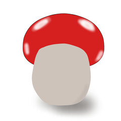 red cap mushrooms