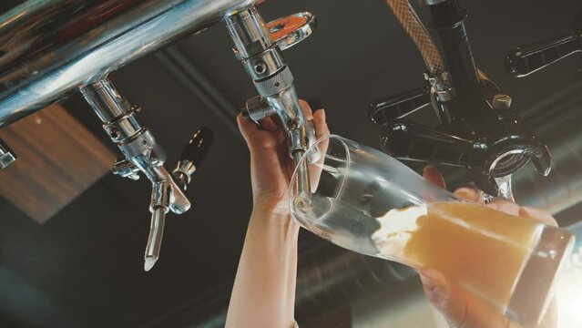 Bartender pour draft beer into glass close up.