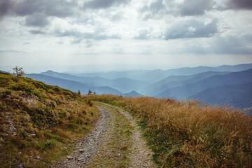 A winding mountain road in the Ukrainian Carpathians, offering stunning views of the rugged peaks and lush valleys
