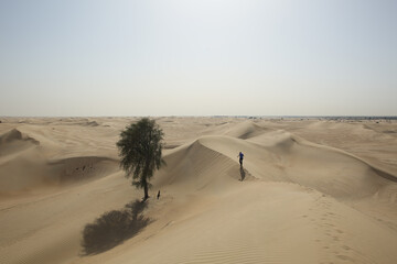 The hot desert landscape of Dubai.