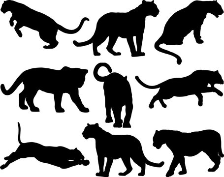Set of Black Panthers Silhouette