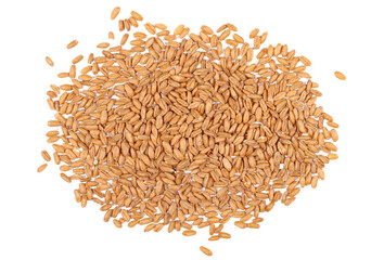 Organic peeled spelt grains isolated on white, top view