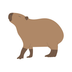 capybara single 16 PNG