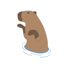 capybara single 19 PNG