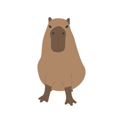 capybara single 17 PNG