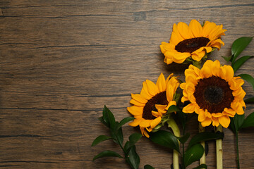 Bouquet of beautiful sunflowers on wooden background. Floral background, copy space for your text