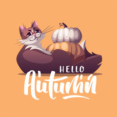 Card design with cat and pumpkins. "Hello autumn" lettering. Halloween, Thanksgiving day, autumn concept. Square Vector illustration for card, postcard, cover.