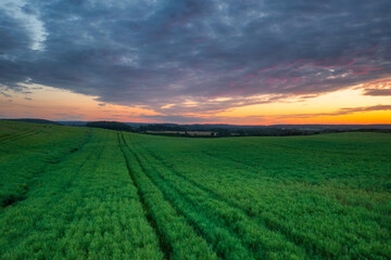Fototapeta na wymiar Idyllic sunset over the meadow in Poland