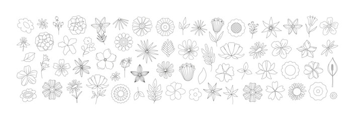 Big set of linear retro flowers, doodles. Line art botanical stickers, emblems, logo, icons. Wildflowers, groovy daisies. Modern simple art. Nostalgia vintage.