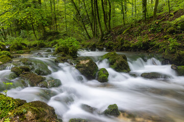 Rapids in Slapnica forest stream in spring,  Zumberak, Croatia