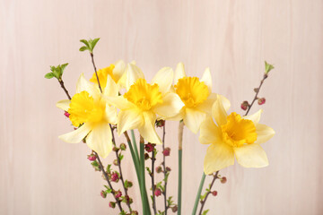 Bouquet of yellow daffodils and beautiful flowers near wall