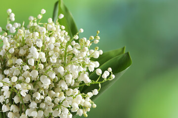 Beautiful lily of the valley flowers on blurred green background, closeup. Space for text