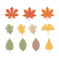 Obraz premium collection of autumn leaves