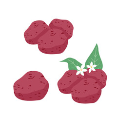 red Potato Illustration Vector Set