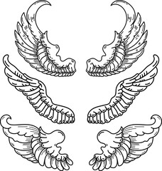 Set of  illustration of a pair of wings in black and white,  done in a tattoo-style. Angel wings. illustration of bird wings.