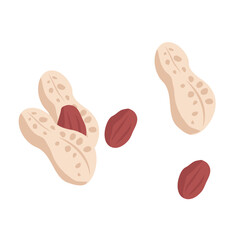 Peanuts, beans, nuts illustration