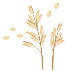 illustration of wheat, oats, oatmeal