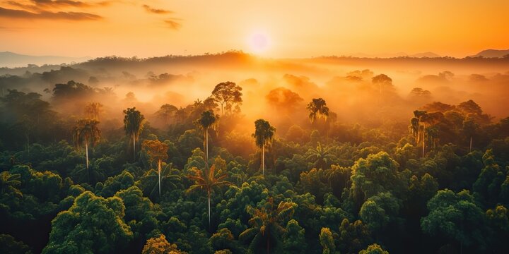Fototapeta AI Generated. AI Generative. Beautiful green amazon forest landscape at sunset sunrise. Adventure explore air dron view vibe. Graphic Art