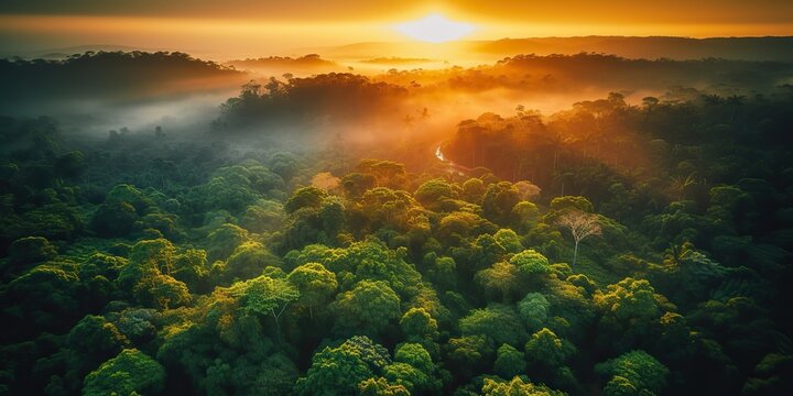 AI Generated. AI Generative. Beautiful green amazon forest landscape at sunset sunrise. Adventure explore air dron view vibe. Graphic Art