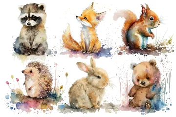 Fototapete Eulen-Cartoons Safari Animal set fox, bear, squirrel, rabbit, hedgehog and racoon for nursery in watercolor style. Isolated . Generative AI