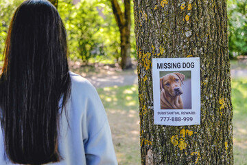 A woman looks at a missing dog notice hanging from a tree. pet love concept.