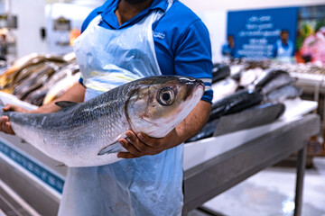 Dubai, Deira waterfront fish market April 2023: Retailers offer fresh fish at their stalls in the...
