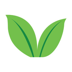 Leaf Logo. Leaf Vector. Leaf Design. Leaf Illustration.