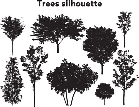 木、樹木のシルエット、ベクターセット