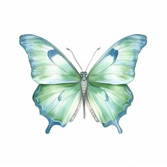 Obraz na płótnie Canvas Water colored butterfly
