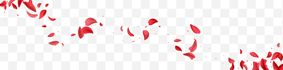 Red Floral Summer Vector Transparent Panoramic