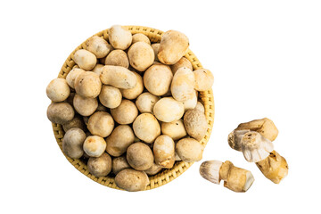 Straw mushrooms in straw basket isolated on white background.