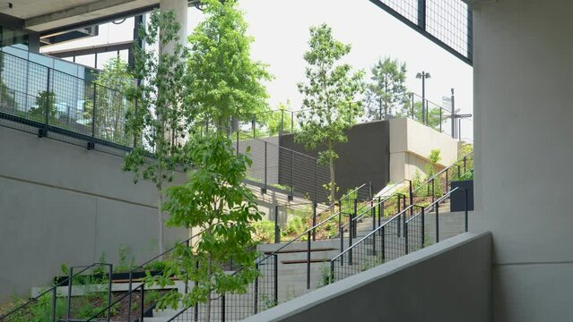 Medium shot of urban park stairs.